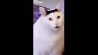 nih yang mau mentahan subcribe yah