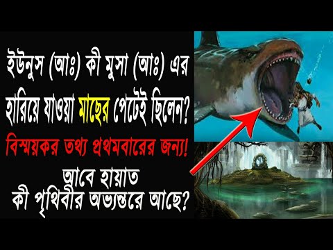 ভিডিও: অভ্যন্তরে বাহাউস শৈলী (ছবি)