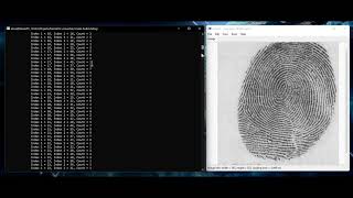 Fingerprint conversion from WSQ to ANSI INCITS 378-2004 or ISO/IEC 19794-2:2005 demo screenshot 3