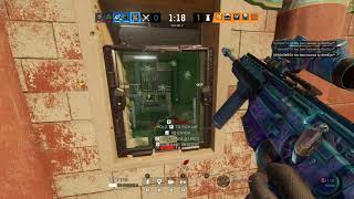 Siege - Osa Bug