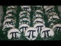 How to decorate PI Sugar Cookies