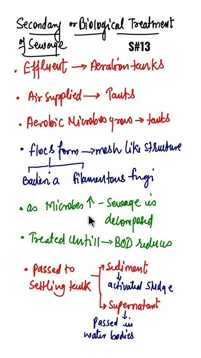 what-is-secondary-treatment-of-sewage-biological-treatment-of-sewage