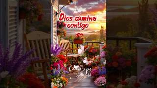 Dios camine contigo y te haga resplandecer con amor paz y alegría 🍃🌺🍃 #penelopebrincefield