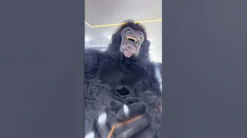 بص الغوريلا مطلعه لسانها ازاى اكسبلور ارقص Funny جديدي Panda حلات تيك توك ايقنت فولو ترند 