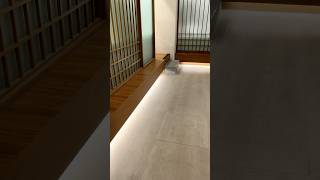 전통美를 담은 툇마루 로비#동대문관광호텔 | 세모네모 디자인