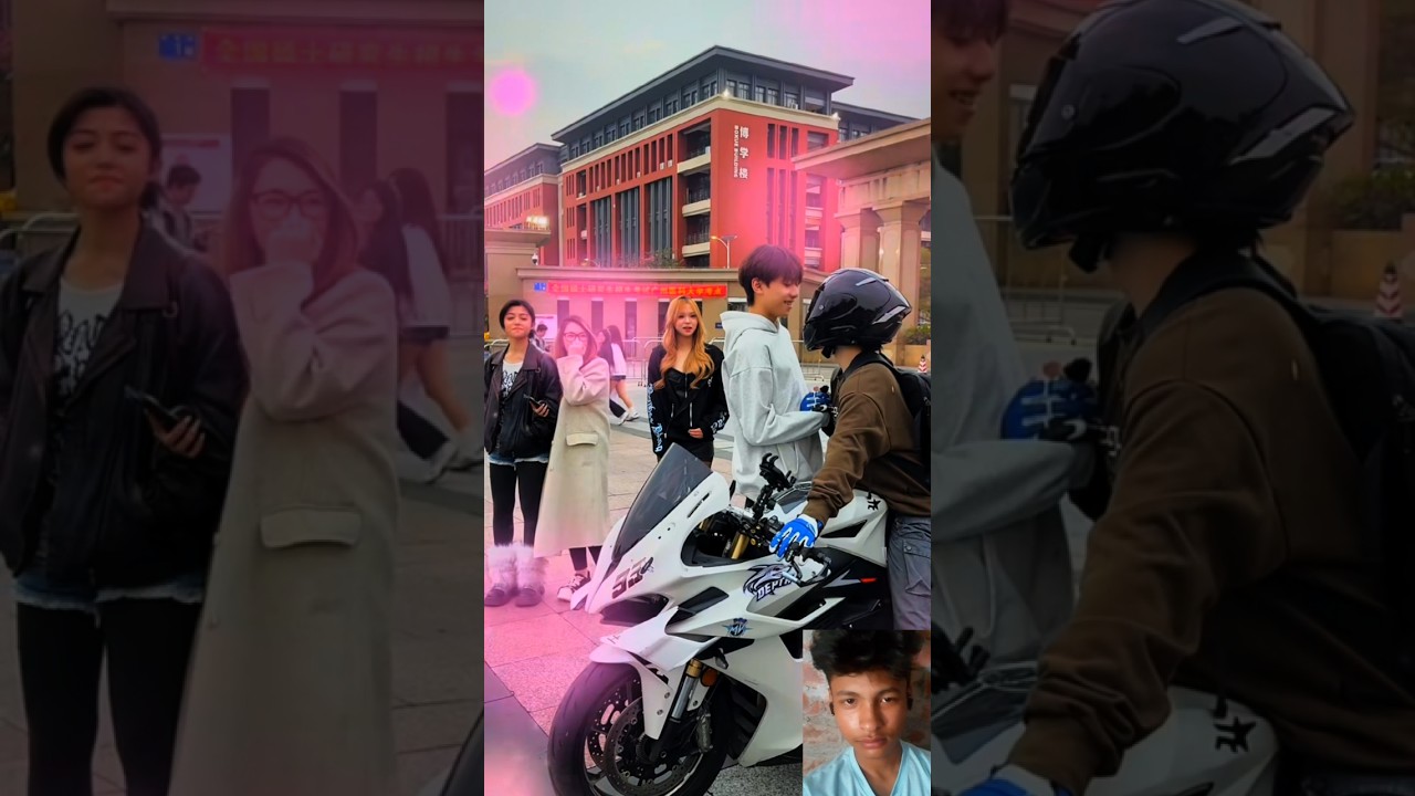 Bmw rider cute cat #shorts​ #shortsfeed​ #shortvideo​ #vairalvideo​ #cat​ #ytshorts​ #rider