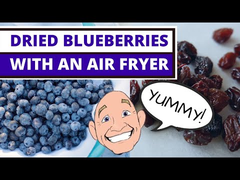 can-we-make-blueberry-"raisins"-in-an-air-fryer?-yes-we-can!