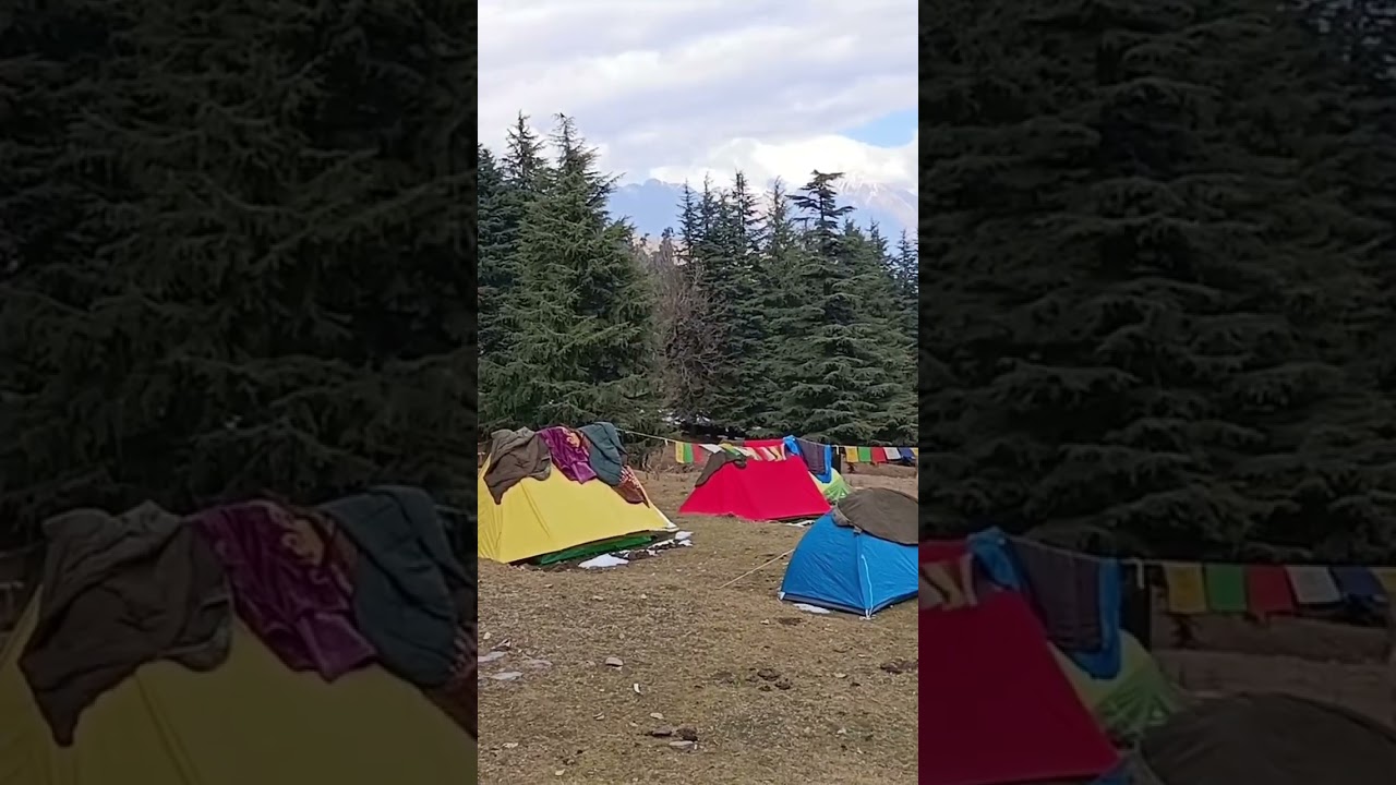 camping in munsiyari