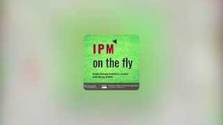 Episode 1: Great Georgia Pollinator Census—Becky Griffin