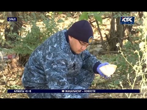 Жыныстық қатынас кезінде қызда ақ сұйықтық бар Томпақ қыздардың порно фото галереялары