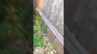 Fence inspection