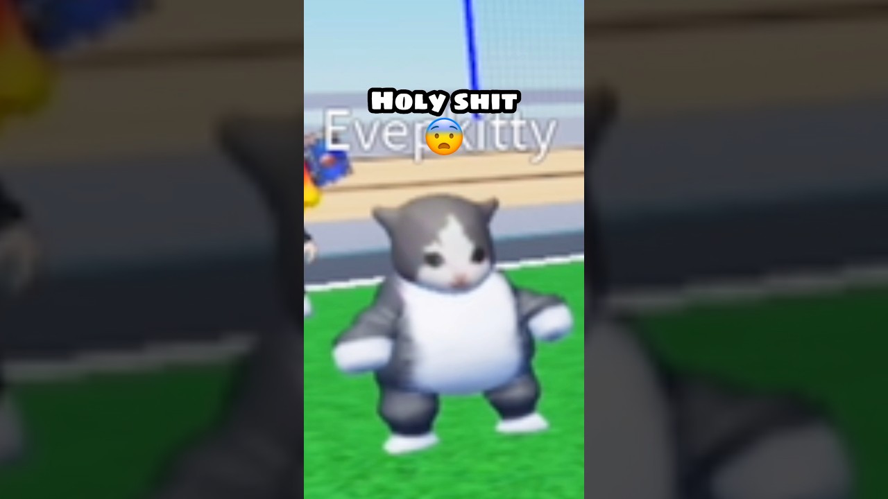 Gato Gordito 🐈✨🥹😂 #fypシ #parati #roblox #robloxedit #humor #doors #plsdonate #brokhaven #micup