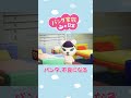 【あつ森アニメ】パンタ、不良になる#Shorts #あつ森　続きはコメント欄から👉