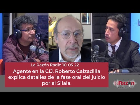 Agente en la CIJ, Roberto Calzadilla explica detalles de la fase oral del juicio por el Silala.