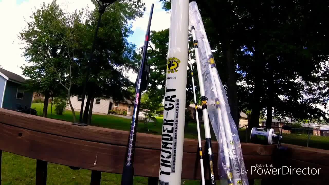Initial Look Big Cat Fever Rods Medium And Medium Heavy Power Youtube