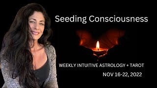 Seeding Consciousness | Weekly Intuitive Astrology + Tarot | Nov 16-22, 2022