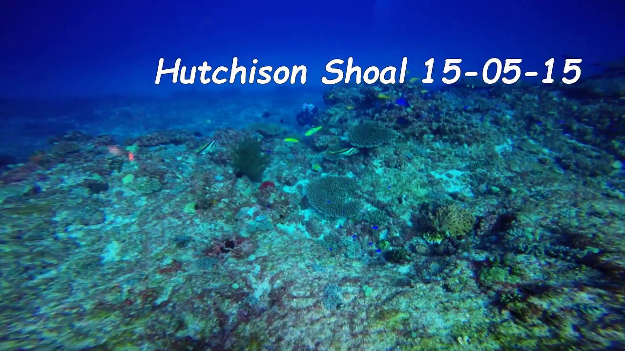 Scuba Dive Hutchison Shoal 15-05-16