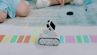 Codey Rocky trasforma i colori in melodia