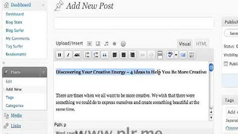 Upload PLR Articles to Wordpress - PLR Video Tutorial