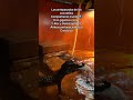 Datos PERTURBADORES de los caimanes #turtlewatching #caimanes #croc #dinosaur #dinosaurios