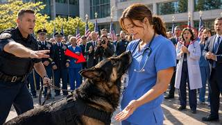 Information They Ignored a Stuttering Nurse—Until a Federal Military K9 Broke Formation and Ran to Her News