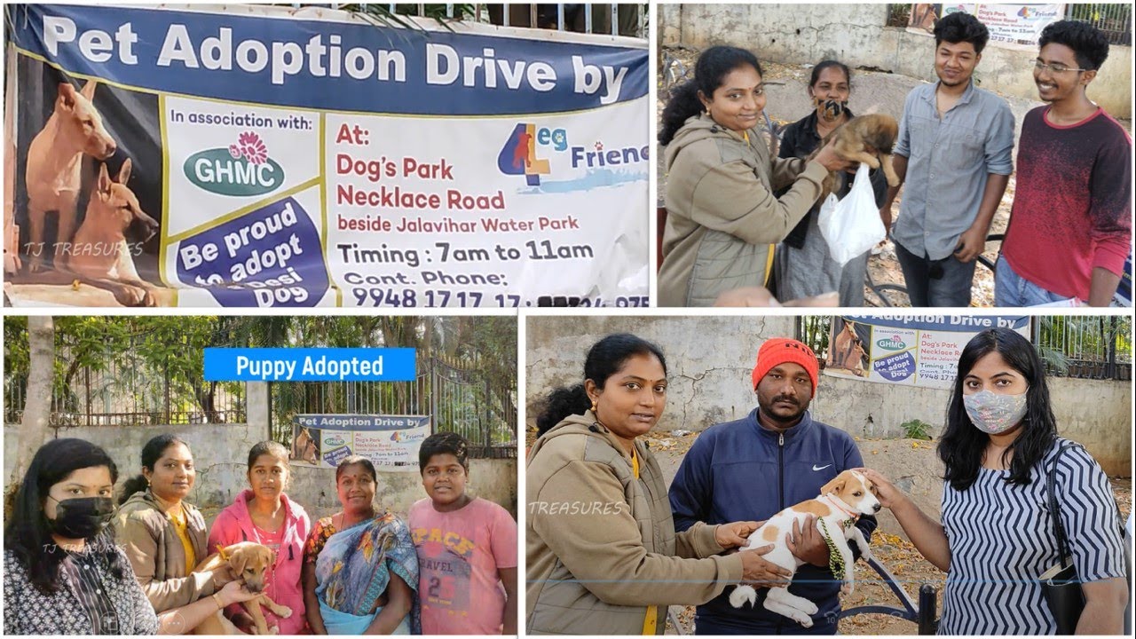 4Leg Friend Pet Adoption Drive 06 Nov 2022 Dogs Park Necklace Road