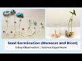 Germination Process Quiz