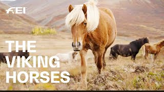 the horses of fire & ice  Icelandic horses | RIDE presented by Longines