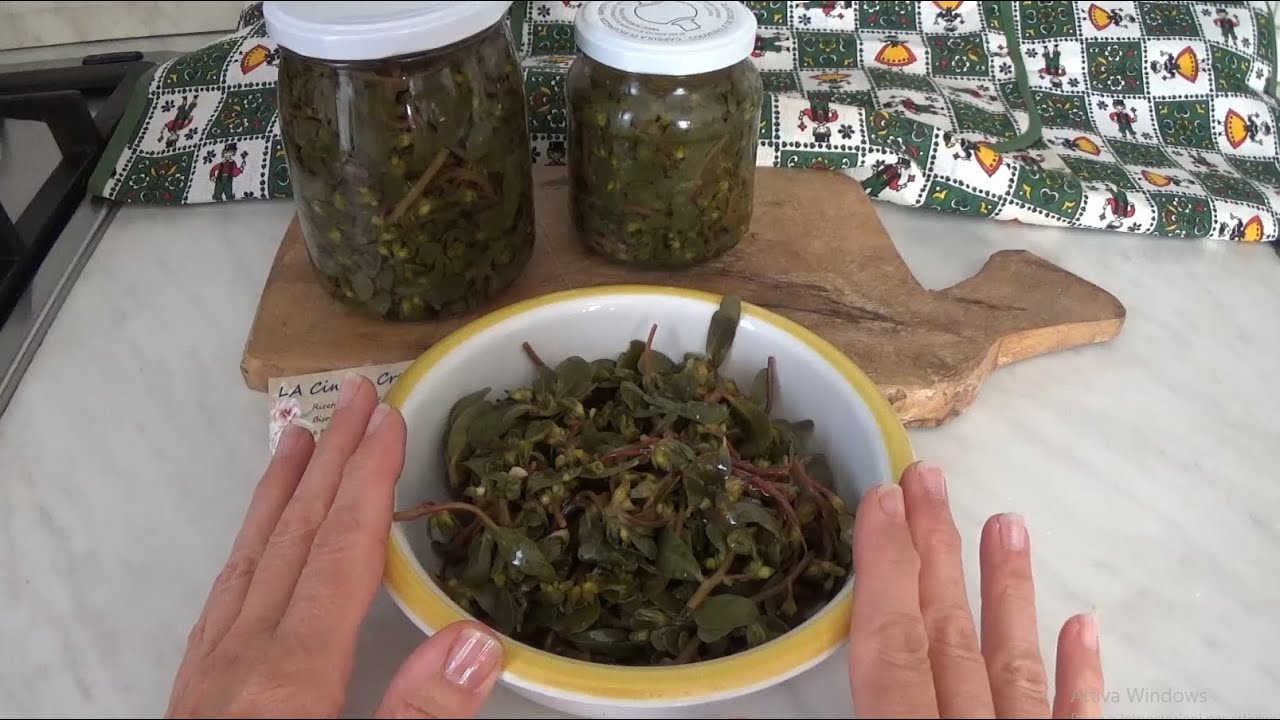 Erbe spontanee - erbe infestanti - Portulaca oleracea - 3 ricette.