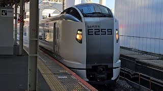 【特急成田エクスプレス26号】2026M E259系Ne015編成 Ne017編成 千葉駅 到着シーン