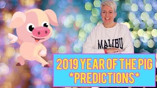 The year of the PIG 2019: Chinese animal horoscope for the year 2019