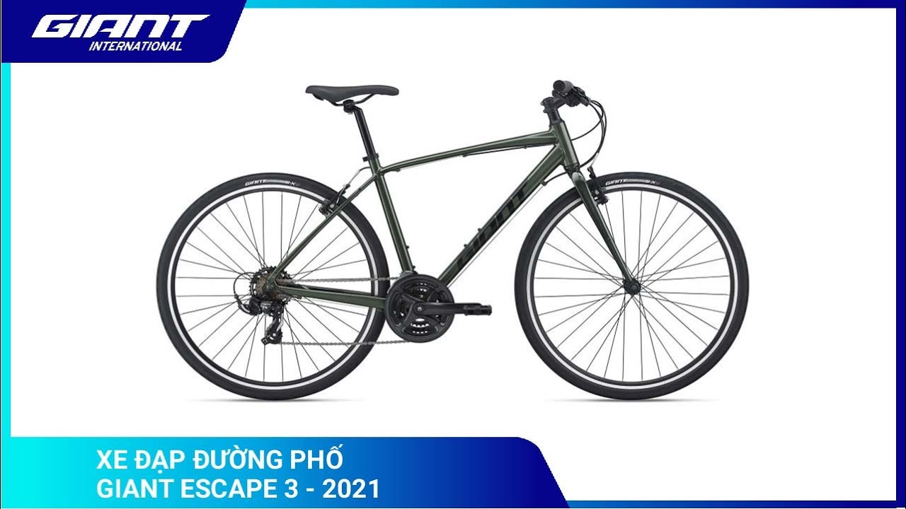 Xe đạp đường Phố Touring Giant Escape 3 Banh 700c 21 Xe đạp Giant International Npp độc Quyền Thương Hiệu Xe đạp Giant Quốc Tế Tại Việt Nam Xe đạp đường Phố Touring Giant Escape 3 Banh 700c 21 Xe đạp Giant International Npp độc Quyền Thương Hiệu Xe đạp Giant Quốc Tế Tại Việt Nam