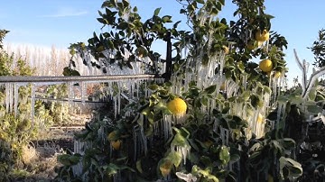 Eatwell Farm... Winter Wonderland