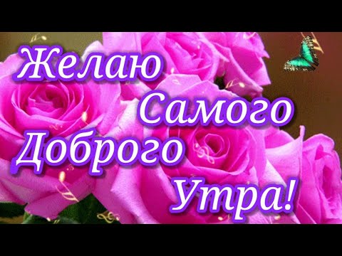ПОЖЕЛАНИЕ НА ВЕСЬ ДЕНЬ С Добрым Утром Хорошего Дня. Доброе Утро!