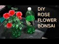 5 roses bonsai diy plastic bottle & drinking straw best out waste
