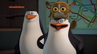 Pingwiny z Madagaskaru Wszystkie Piosenki🐧