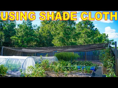 Vidéo: Shade Cover For Plants - Comment ombrager les plantes dans le jardin