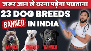 OMG 😱 सरकार ने लगाया इन कुत्तों 🐕 की नस्ल पर BAN 🚫 || 23 Dog Breed 🚫 Banned In India 2024 | In Hindi