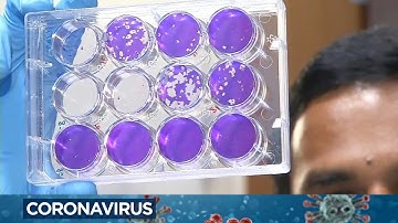 Omicron BA.5 strain may shorten COVID immunity from 3 months to 28 days, research shows