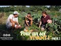 Pour un sol vivant (partie 2) - Comment reconnaitre/ou trouver des légumes nutritifs ?