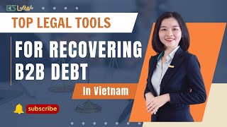 Top Legal Tools for Recovering B2B Debt in Vietnam | Tactical Guide for Companies | LTS LAW FIRM