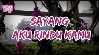 Sayang Aku Rindu Kamu || Musikalisasi Puisi