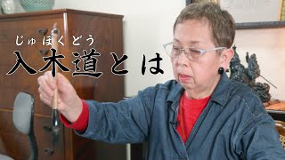 【入木道とは】真の書藝術　中国正統的用筆法の世界