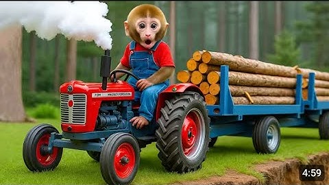Monkey Nana Tractor Adventure: Smartly Solving an Accident! Coco Monkey Life 🐾🚜🐒 :