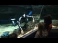 Ихтиандр в Адлерском океанариуме &quot;Sochi Discovery World Aquarium&quot;