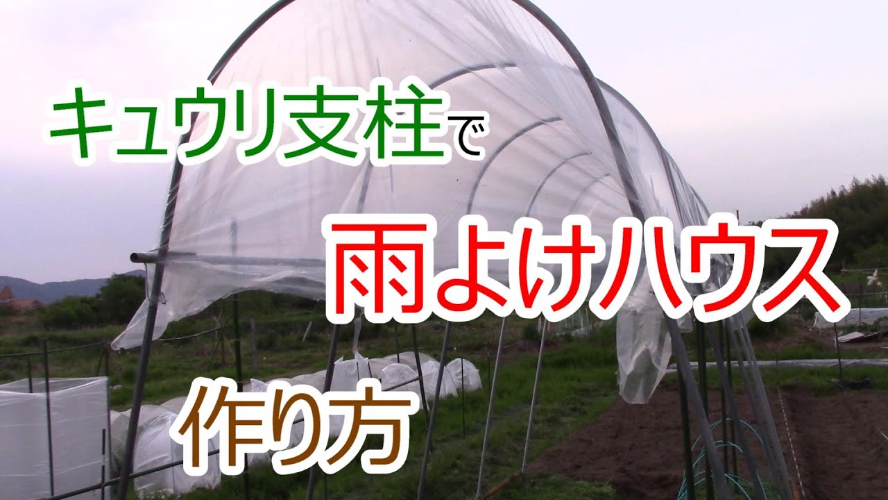 雨よけハウス 作り方 キュウリ支柱 再利用 2021.5.4 - YouTube