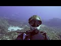 South Africa - Aliwal Shoal - Scuba diving trip