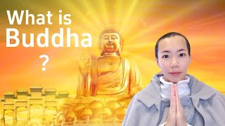 What is a Buddha