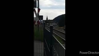 Züge in Oberharmersbach mit: Stadler Br. 650, Adtrans Br. 650