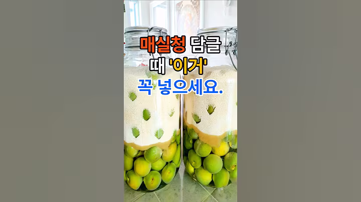 매실청 담글때 이거 꼭 넣으세요. #건강  #건강정보  #음식  #매실청 #레시피